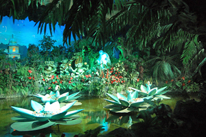 Indische Waterlelies at Efteling Indische Waterlelies at Efteling